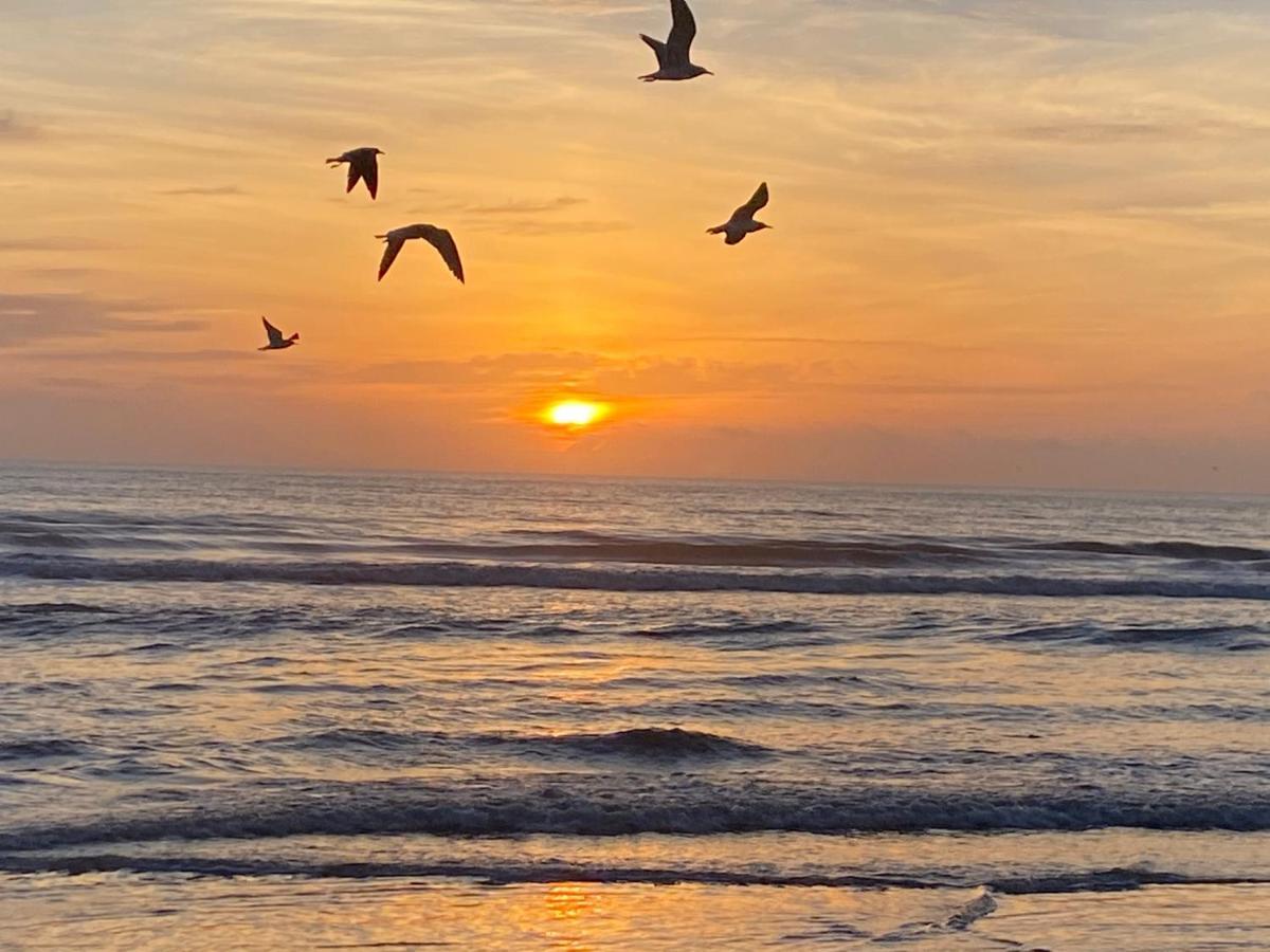 I Need A Vacay Now! Remodeled Studio Daytona Beach Eksteriør billede